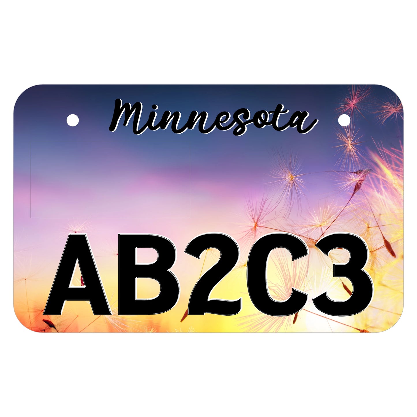 Whimsical Dandelion ATV License Plate