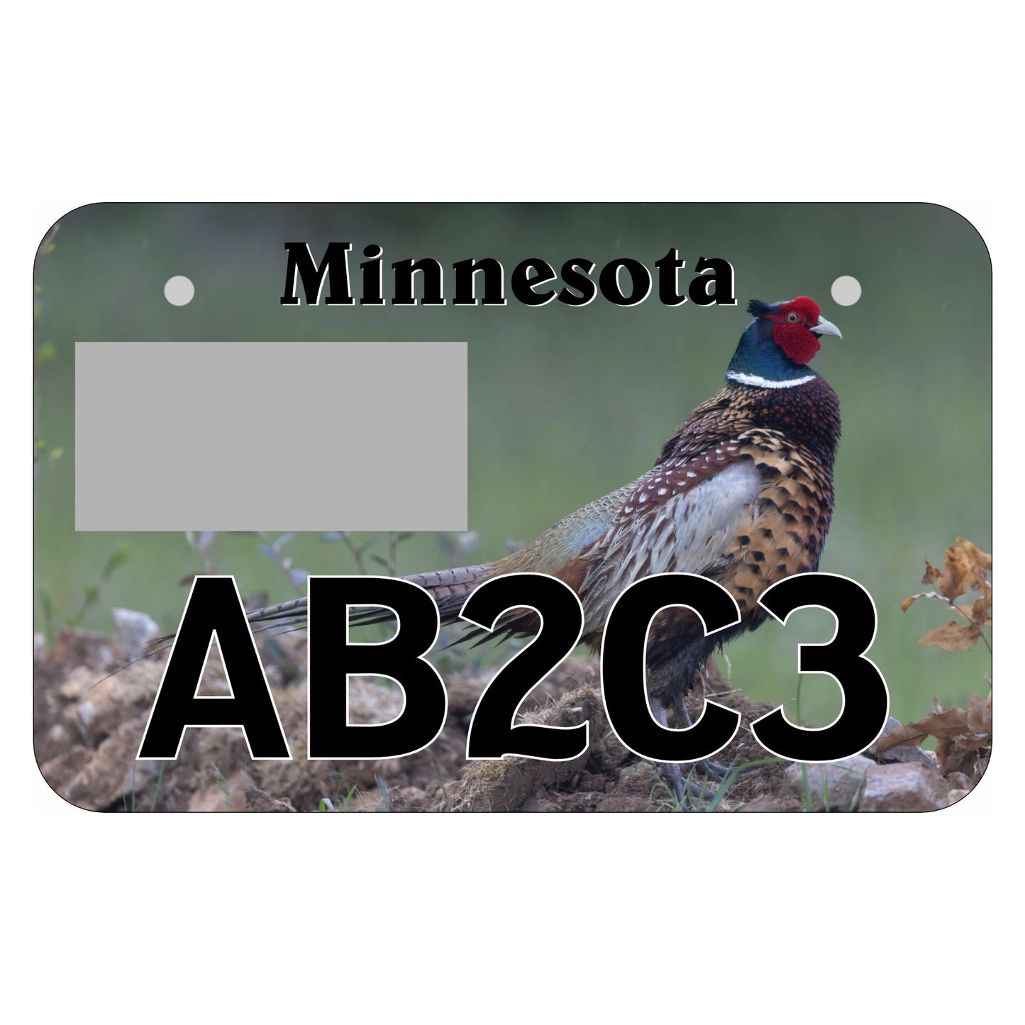 Minnesota ATV Plate - Pheasant