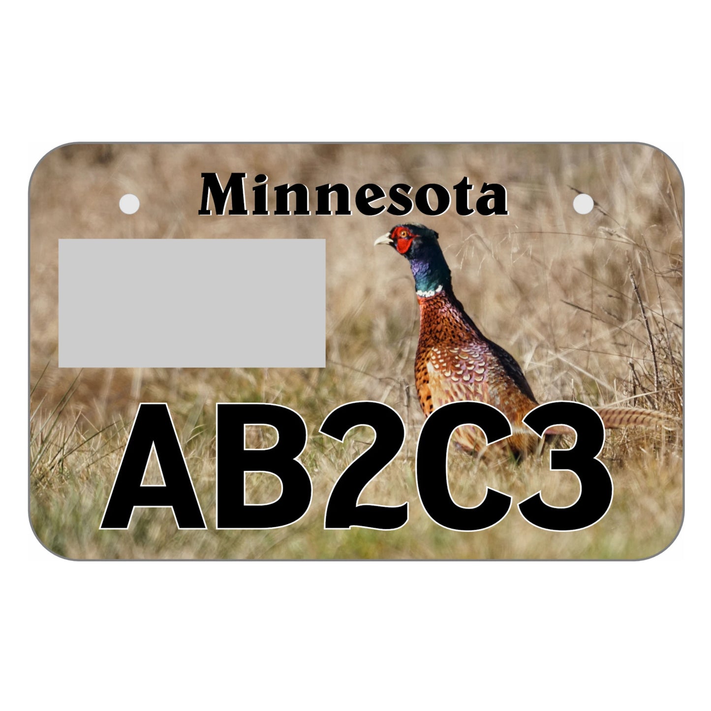 Minnesota ATV Plate - Ring Neck Pheasant